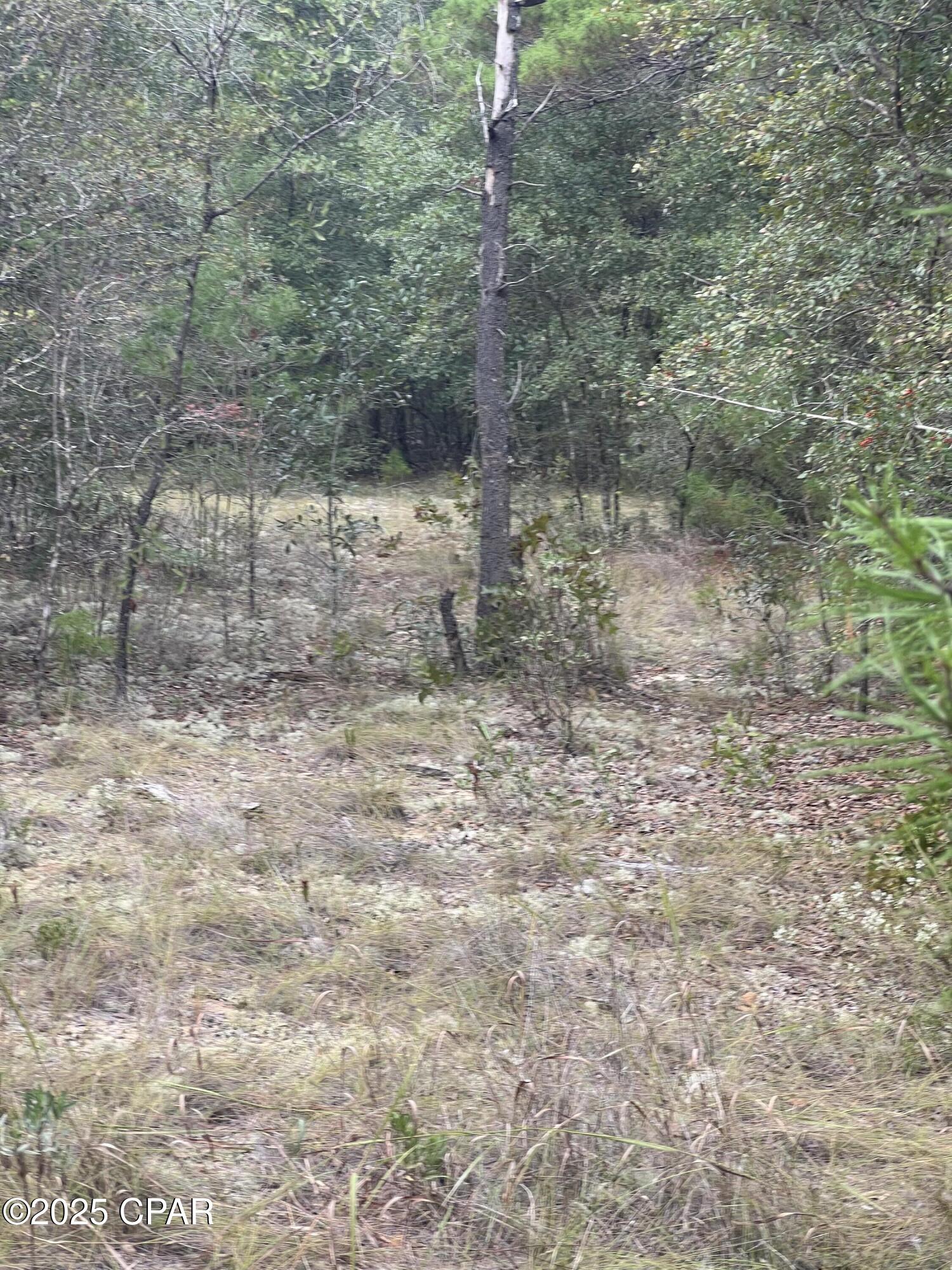 Sunny Hills Unit 1 - Land