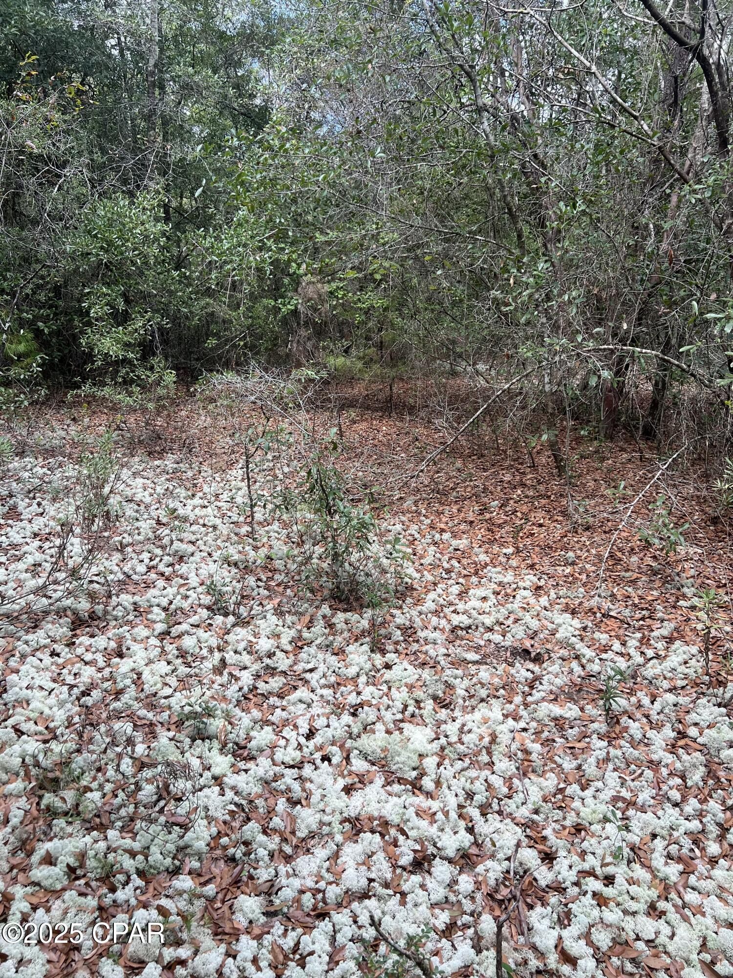 Sunny Hills Unit 1 - Land