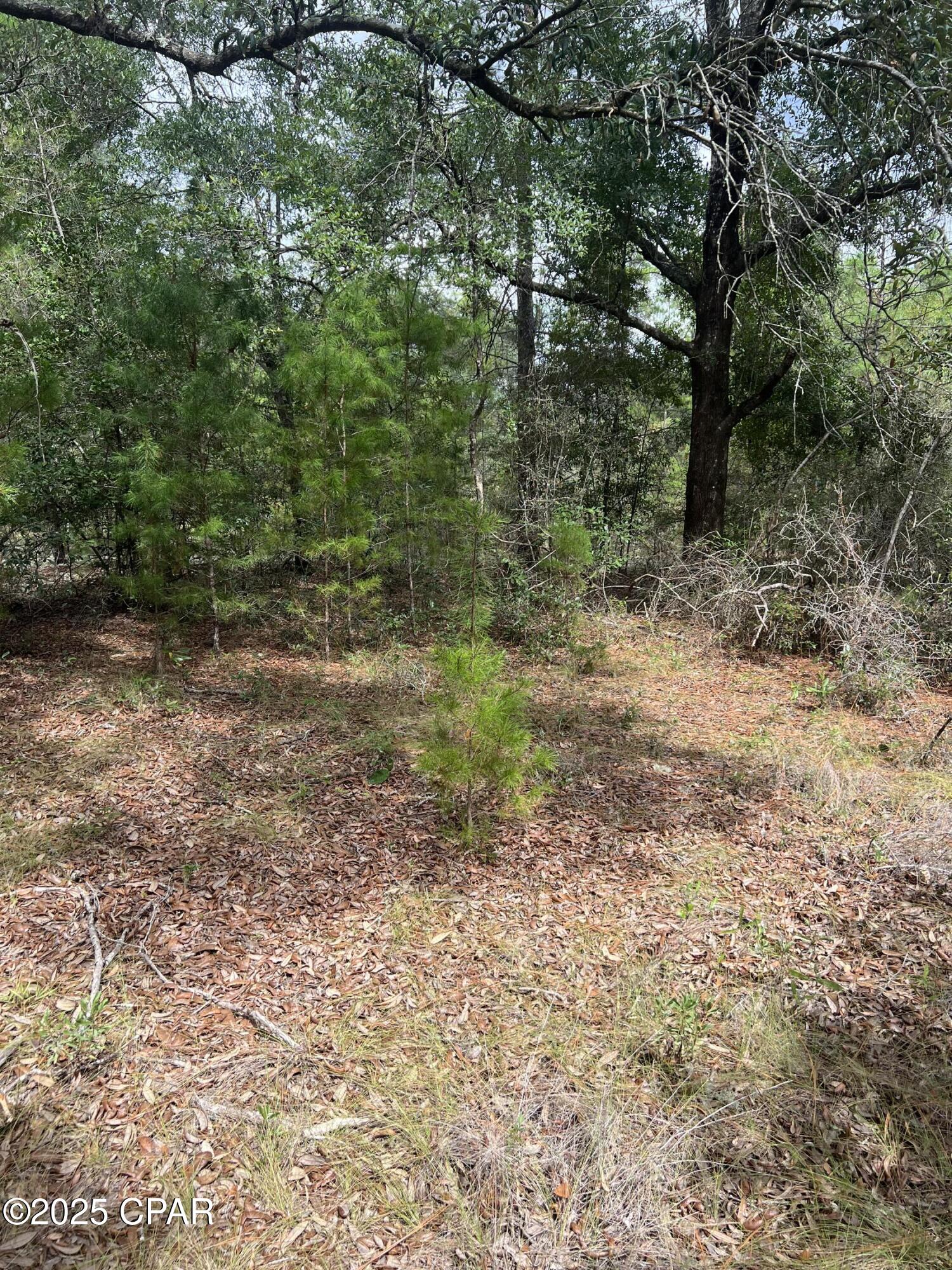 Sunny Hills Unit 1 - Land