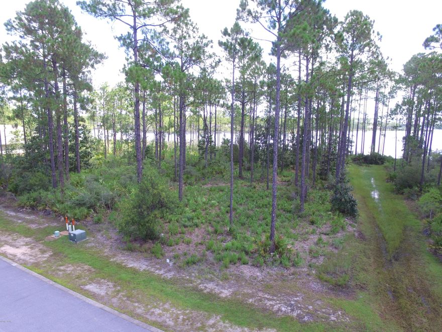 Lot 71 is New on the market! An amazing deep water dockable in desirable Laird Point community. A true deepwater lot with a spectacular view over Cooks Bayou and East Bay. No worries of limited access because of tides. Year round deep water can accommodate large boats or sailboats with no problem. Ribbon curbed streets and underground utilities. The perfect place to build your dream waterfront home. Bank financing available at 10% down.