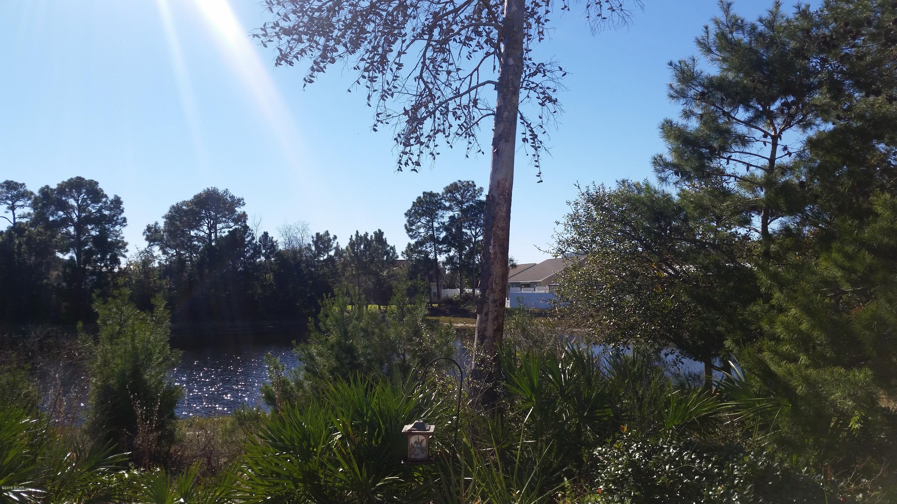 Palmetto Trace - Residential