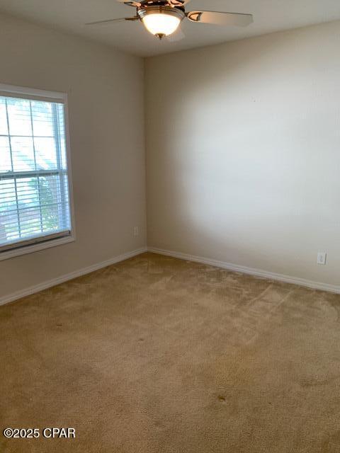 Palmetto Trace Phase IV - Residential Lease