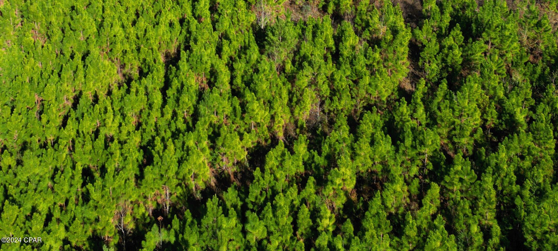 Lake Mckenzie Homes - Land