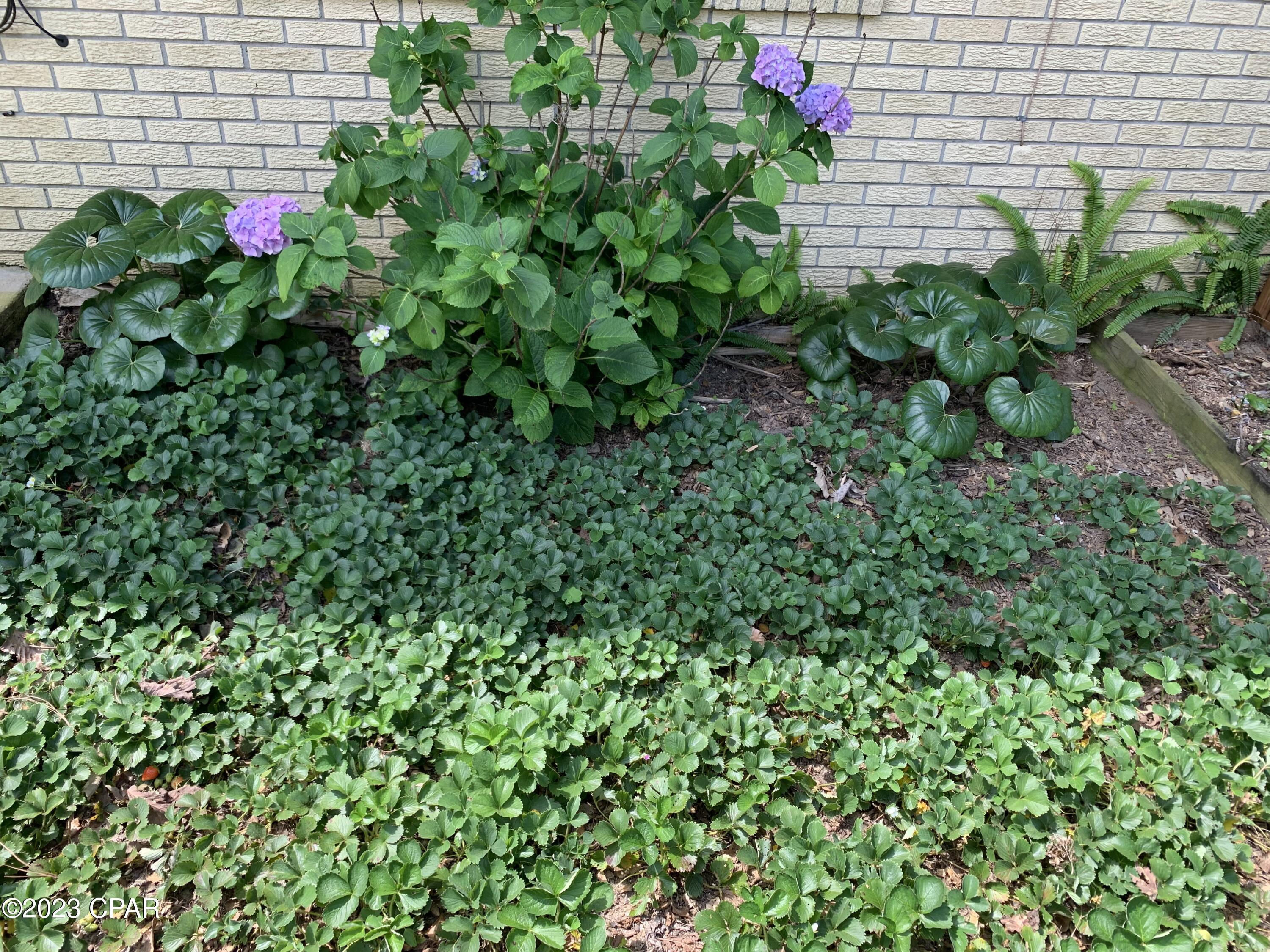 Meadowview Estates - Residential