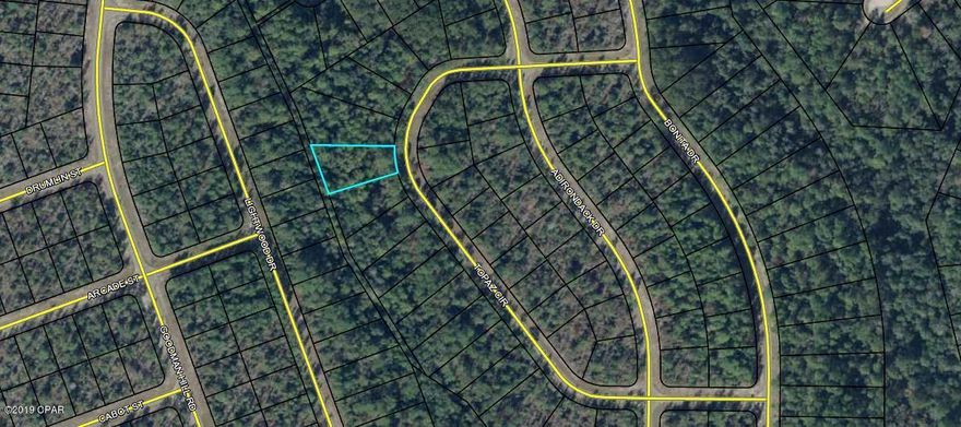 Almost a half acre building lot in Sunny Hills Unit 7. The Sunny Hills community is located 25 miles north of Panama City and 18 miles south of Chipley. This community features a popular 18 hole public golf course and many fine fishing and recreation lakes. Great opportunity to invest in the future of the Florida Panhandle. Buyer to pay Title Insurance, Closing Fee, and Doc Stamps on the Deed.