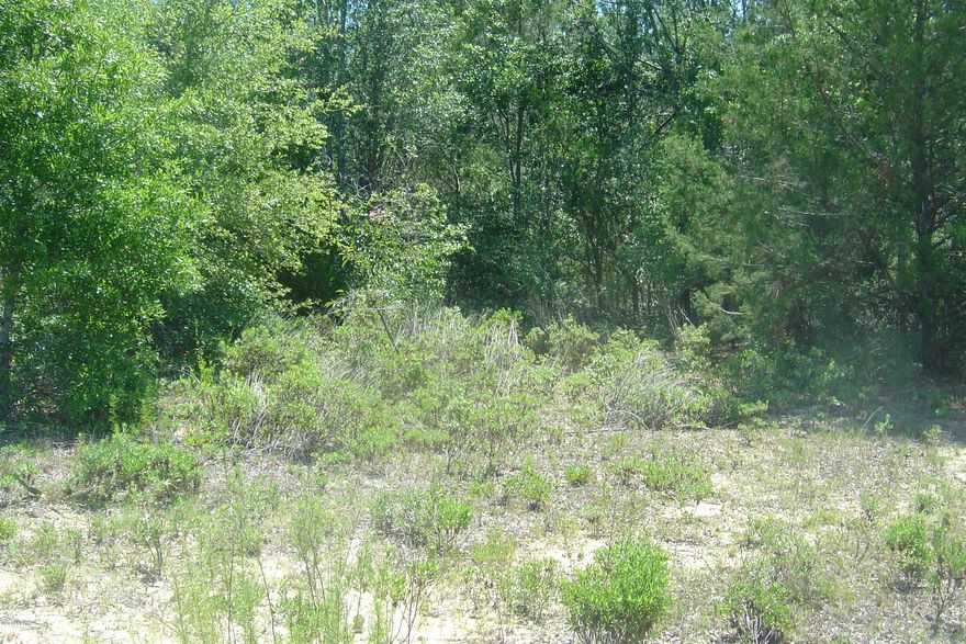 Excellent Compass Lake in the Hills lot with all the amenities of CLH on a paved road.