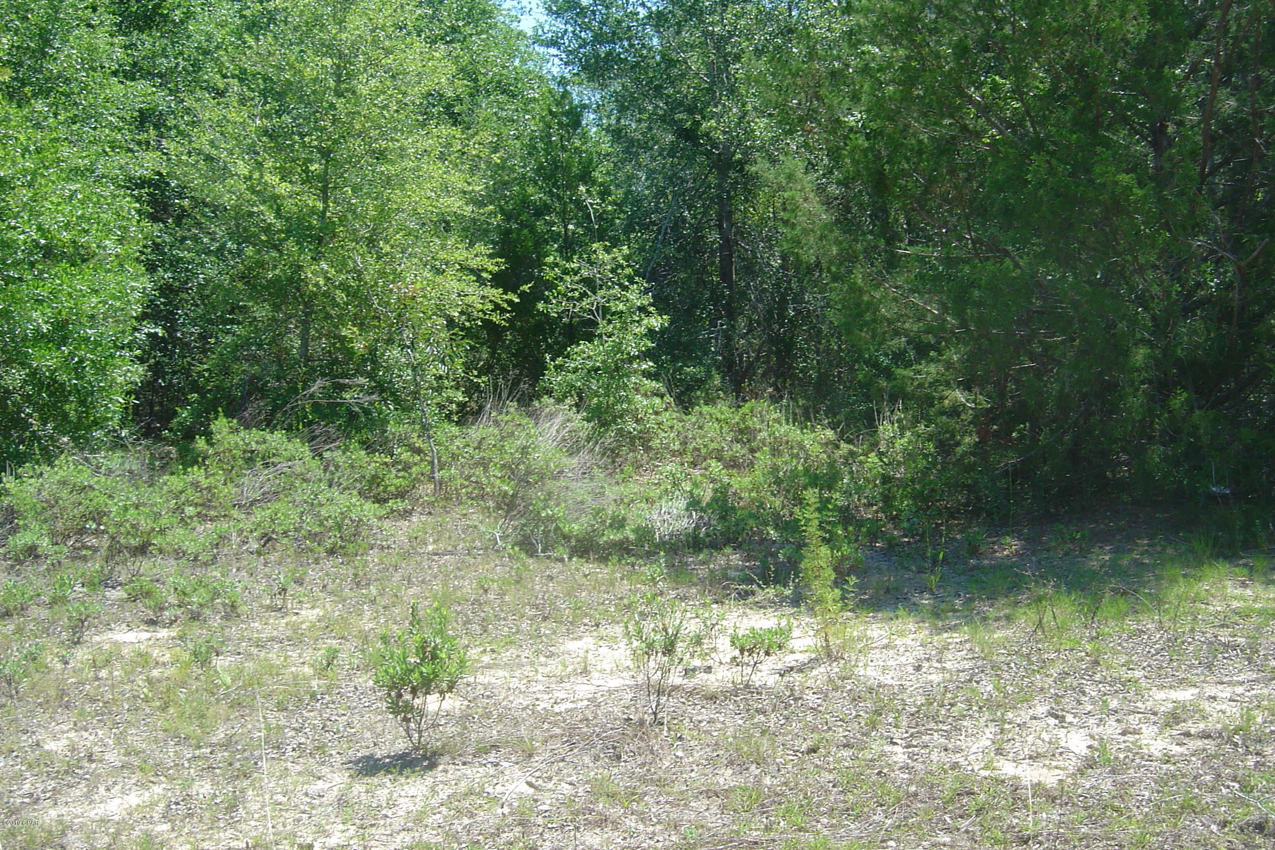 Compass Lake Hills Unit 1 - Land