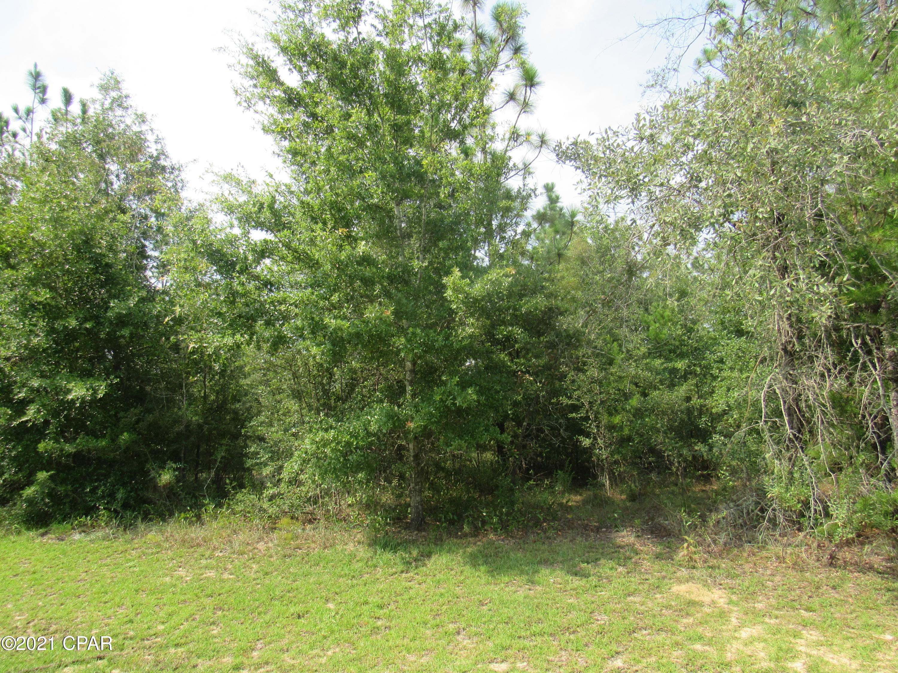 Sunny Hills Unit 19 - Land