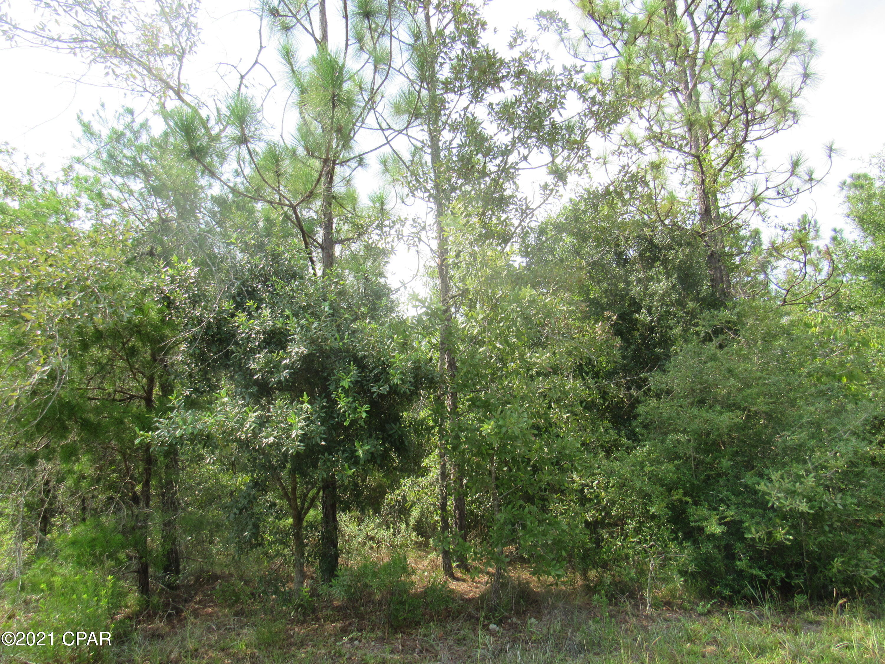 Sunny Hills Unit 19 - Land