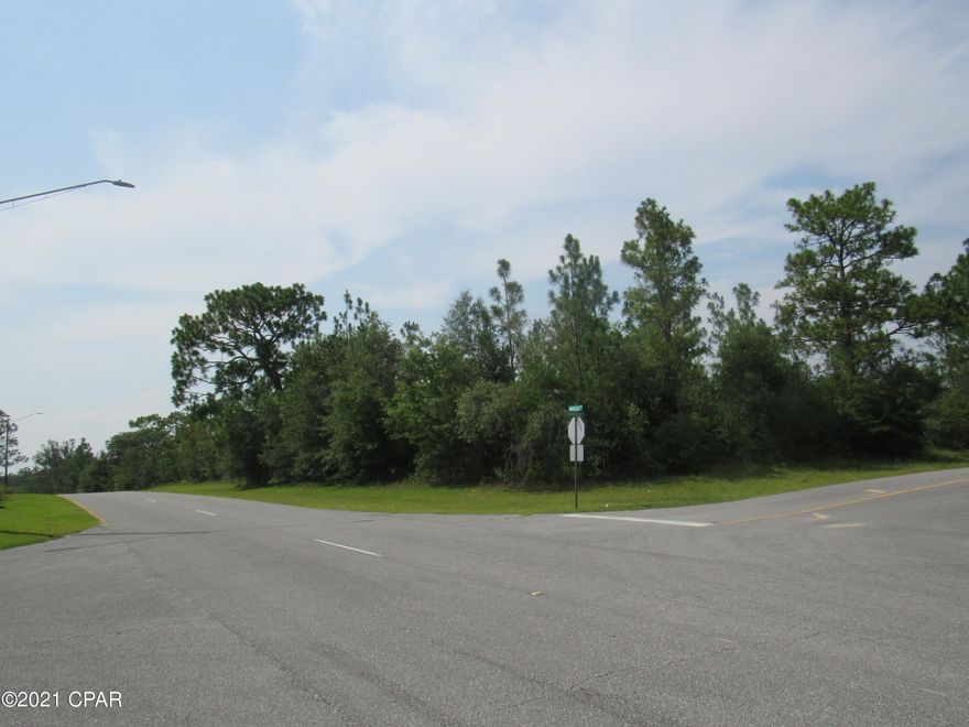 Gorgeous corner lot in the beautiful Sunny Hills community! Huge potential for building your dream home! Sunny Hills is a beautifully maintained community with underground utilities, sidewalks, and access to a number of lakes and ponds! This lot has public water available and underground utilities, therefore no power poles, which is a huge advantage! If you love fishing and golf, this is the place for you! Don't miss out on this opportunity! Please verify all information and measurements.