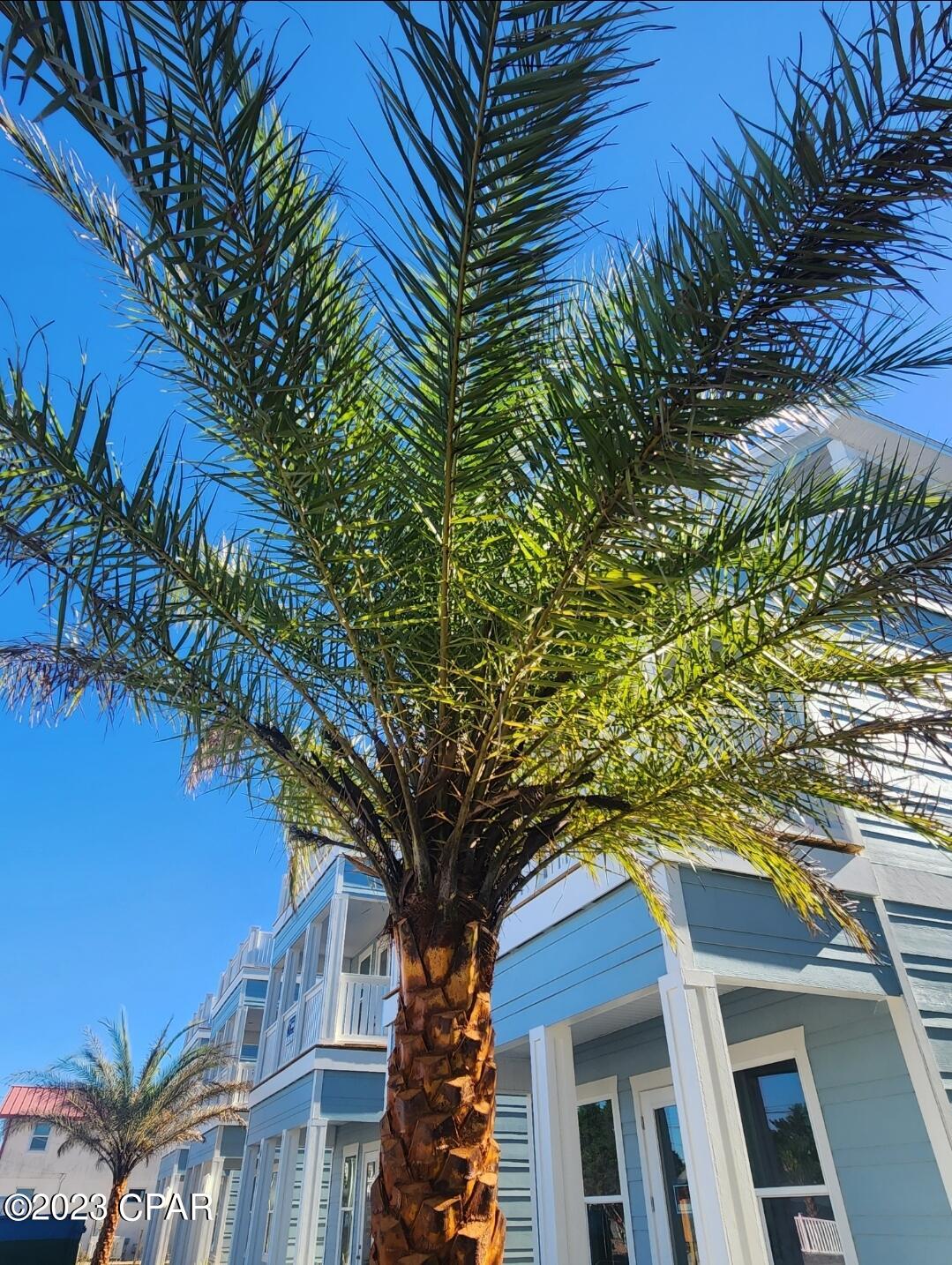 North Beach Estates - Residential