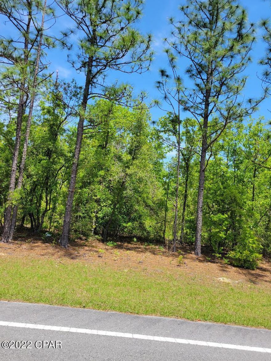 Very nice buildable level lot in Compass Lake subdivision, this lot has been recently surveyed and the markers are visible, there is a voluntary 135. annual fee to use the amenities of Compass Lake Hills. Drive by this lot today.