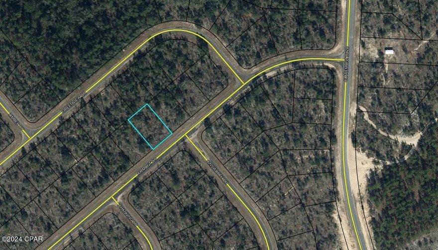 Good building lot in the growing community of Sunny Hills. Located approximately 25 miles north of Panama City. This deed restricted subdivision features a popular and affordable 18 hole public golf course and many fine fishing lakes. There is also the popular swimming beach at Boat Lake. There is a lot of new homes being built to accommodate the growth moving north out of town. No HOA! You owe it to yourself to check out this opportunity in the Panhandle of Florida. Buyer to pay title insurance, closing fee, and doc stamps on the deed.