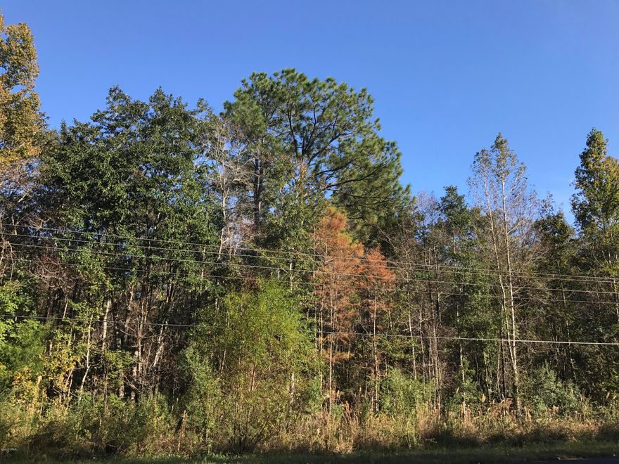 Beautiful 4.27 Acres of Hard Wood Forest!  Just minutes from Downtown Marianna and very accessible off a Main Highway.  This property has been owned by the same family for generations and has never had pesticides on it! Additional property is available. Drive by and check out this beautiful spot to put your dream home!