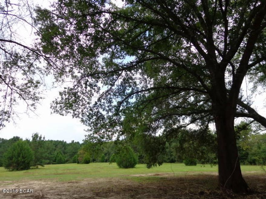Very nice property located on paved road just south of Marianna. Many nice building sites to choose from. There is a very large oak tree on the property located at the southwest property line. Property is mostly cleared with scattered cedar trees. Close drive to shopping & restaurants, 10 minute drive MOL to I-10. Horses allowed. 20 Acres MOL available for sale but does not adjoin. Deed Restrictions will apply