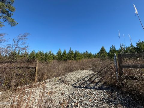 00 Tanner Road Marianna FL 32448