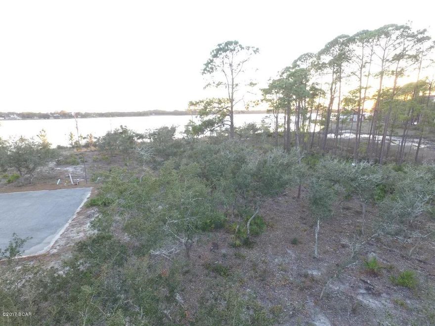 This is one of the nicest lots in Wild Heron.  FANTASTIC LAKE VIEWS.  Very close to the lake, very close to the amenities area.  Back in the peak this homesite sold for $425,000, now you can buy it for a fraction of that price.  PERFECT LOCATION IN THE COMMUNITY.