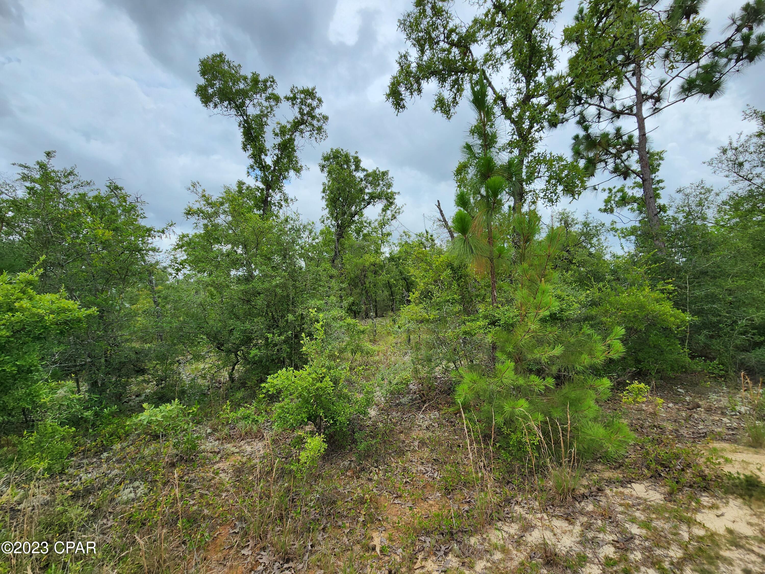 Compass Lake Hills Unit 5 - Land