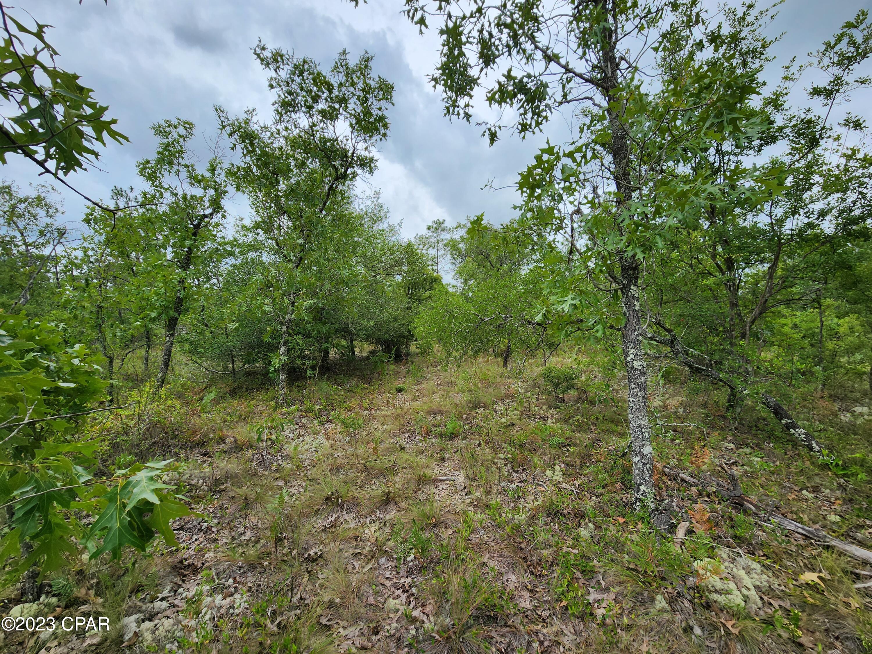 Compass Lake Hills Unit 5 - Land