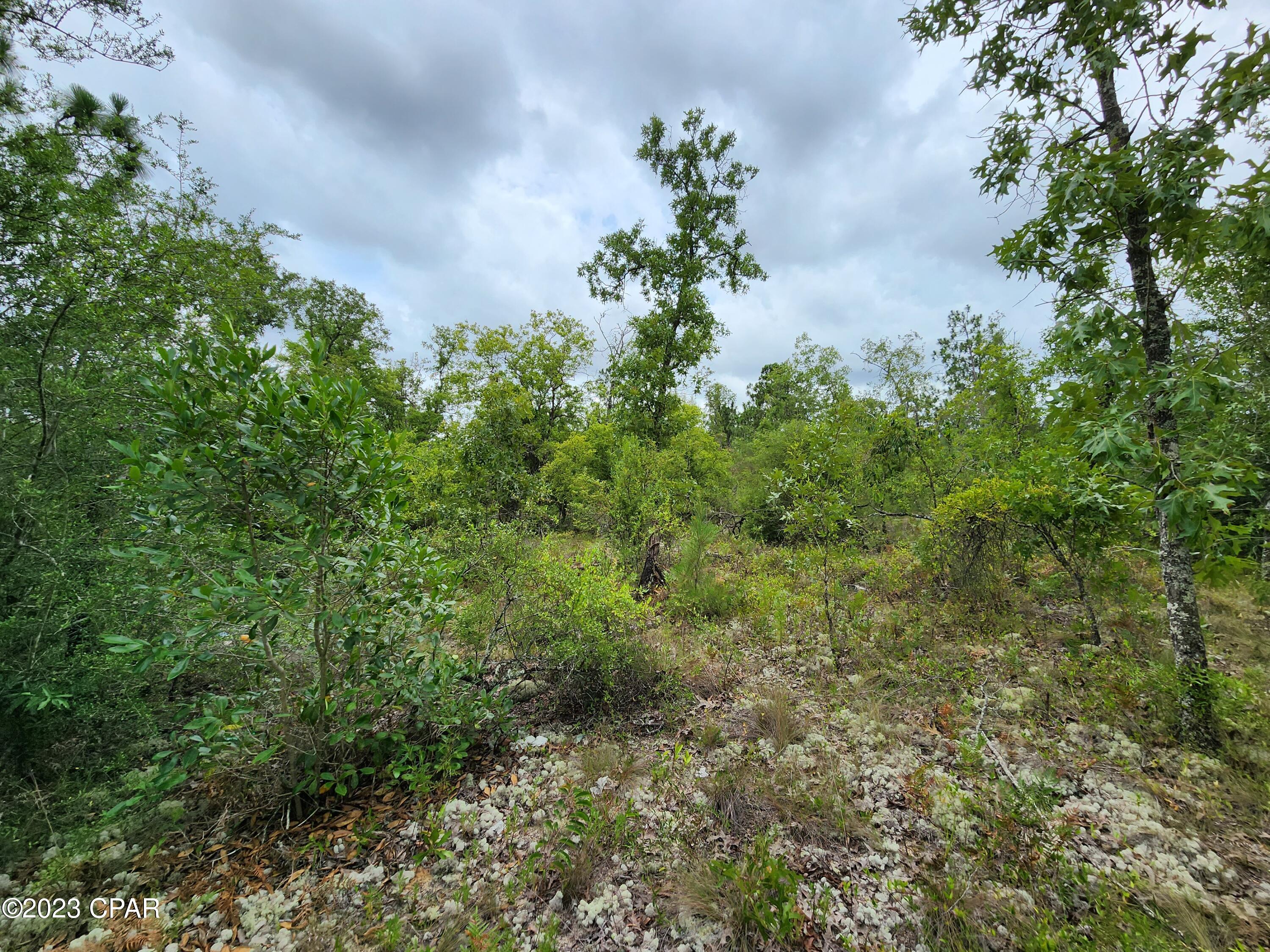 Compass Lake Hills Unit 5 - Land