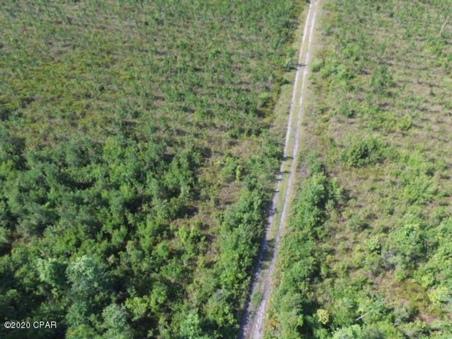 Hunting land or land to build your private get away home on with no neighbors.  This tract has a nice stream and some timber and plenty of game on it.  The tract that adjoins this parcel on the northwest side has a state of Florida conservation easement.  This property is only a 5 minute drive from the Apalachicola National Forest and about a 15 minute drive from Lake Talquin or the Ochlocknee River.