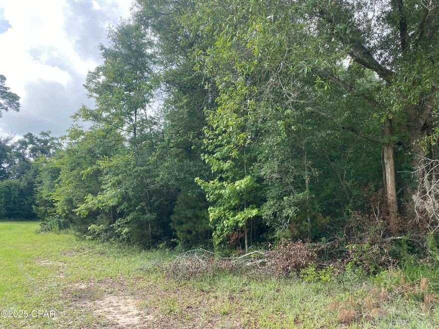 Take a look at this tranquil, wooded .55 +/- acre lot (#36) in the family-friendly Indian Springs community, near the eastern bank of Merritt's Mill Pond. Home to Magnolia Oaks Golf and Country Club, this lot is located on hole #7 and offers an ideal setting to build your dream home.  Enjoy beautiful views as you sip your morning coffee!   New construction requires a minimum of 1,600 sq. ft. for single-level and 2,000 sq. ft. for multi-story homes. Enjoy paved road access, with public water and sewer installations coming soon (see attached documents). Whether you're ready to build or invest, this property suits both. Contact us today for more details! (Note: Buyer should verify utilities, property restrictions, and listing details.) Multiple lots for sale.  See pictures and map.
Key features:
*Beautiful golf course views (hole #7)
*Upgraded public water and sewer coming soon - no well or septic needed
*Quiet and peaceful neighborhood
*Close proximity to Merritt's Mill Pond (220 acre spring-fed lake with crystal clear waters)