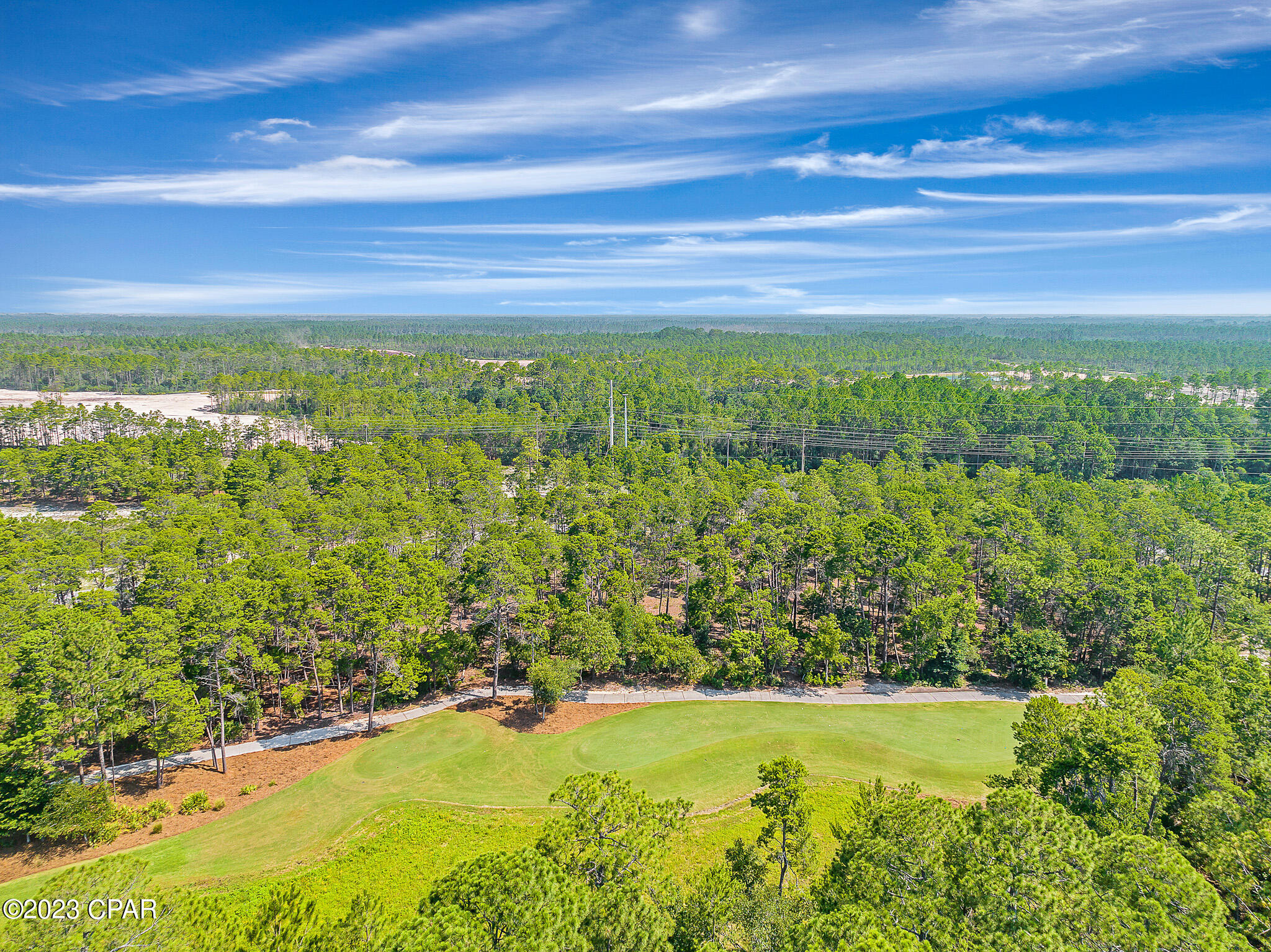 Wild Heron Phase X - Land