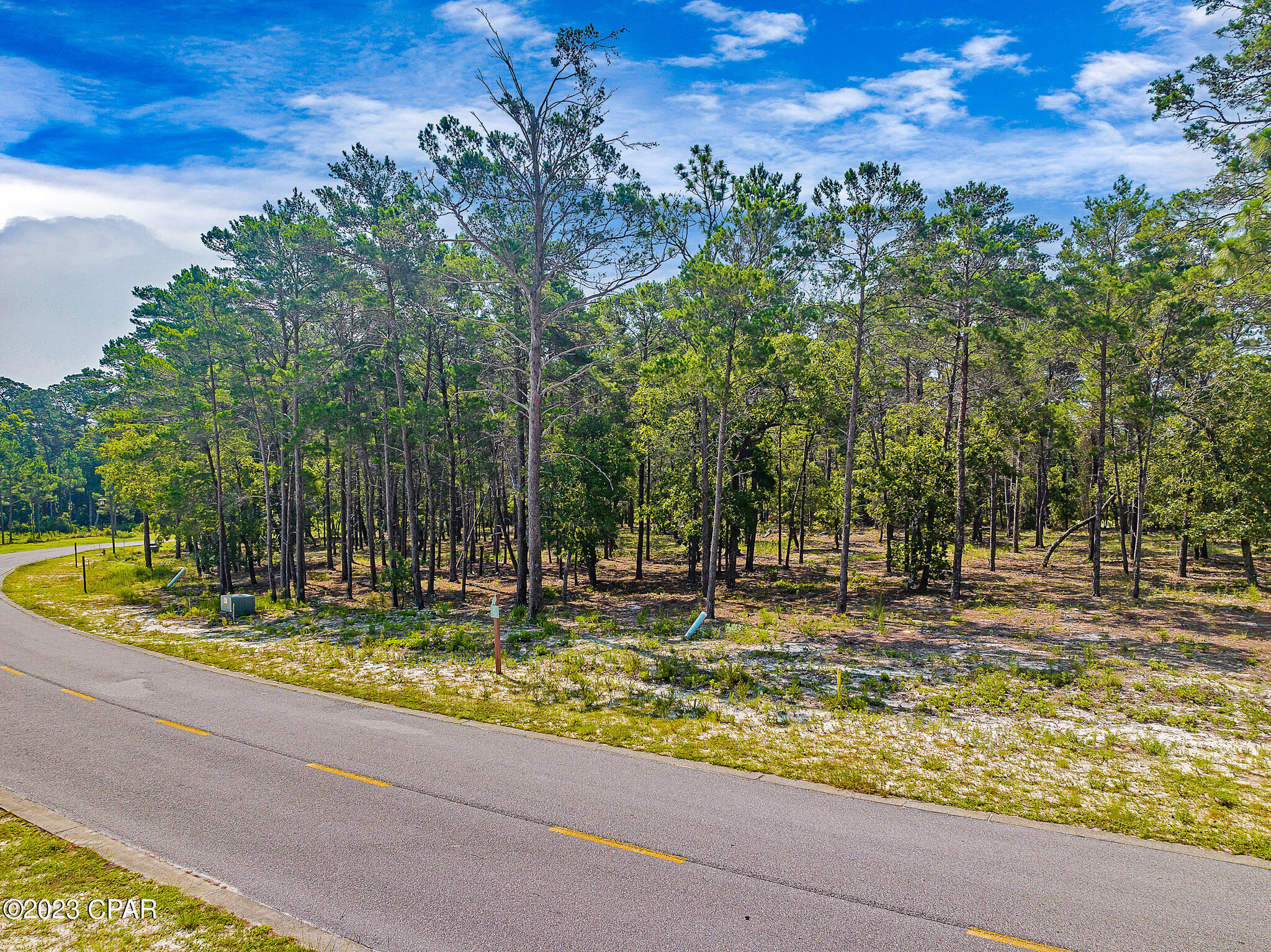 Wild Heron Phase X - Land