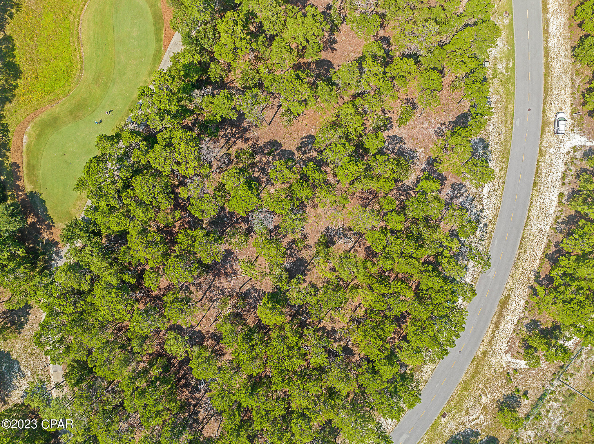 Wild Heron Phase X - Land