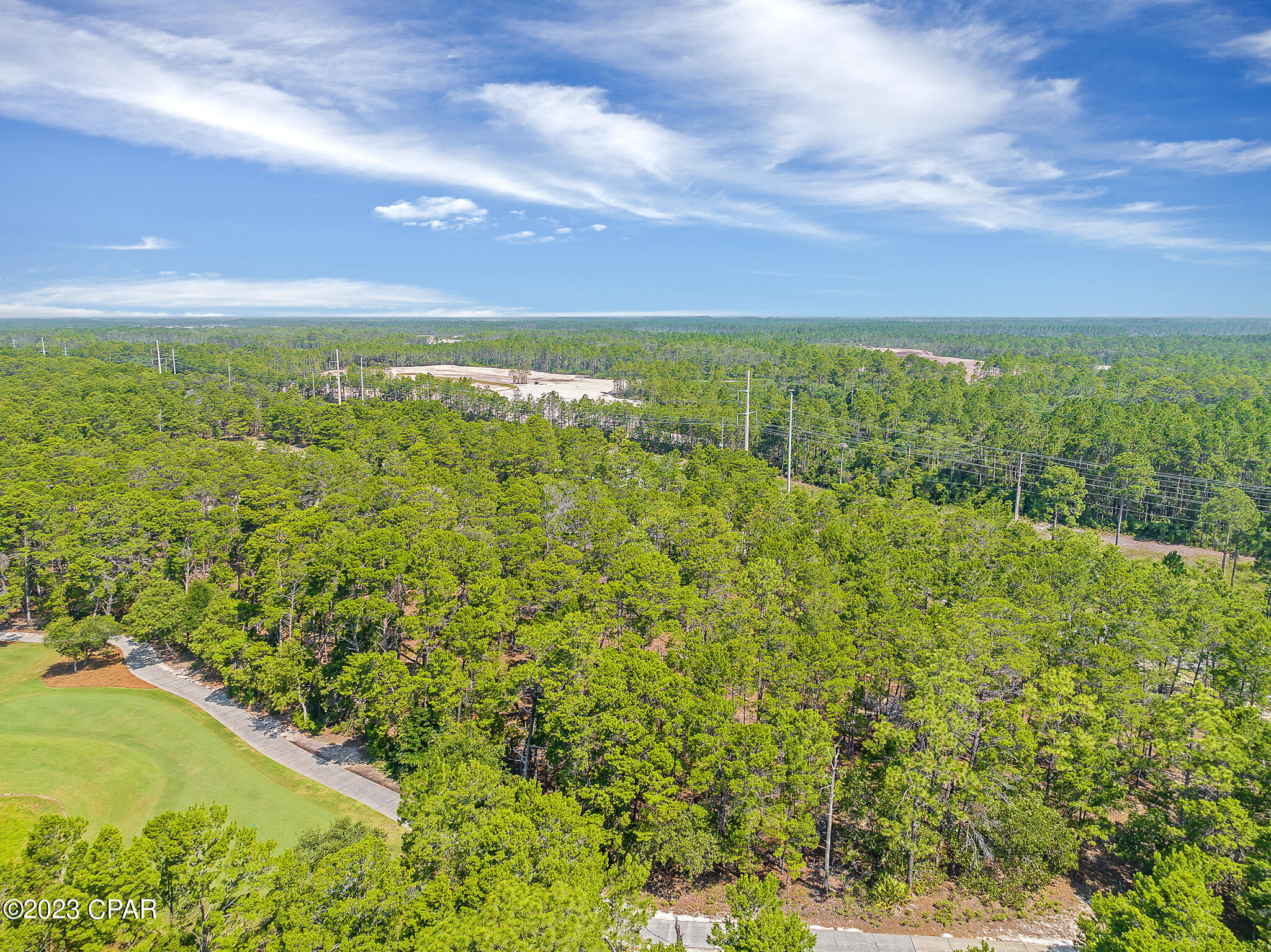 Wild Heron Phase X - Land