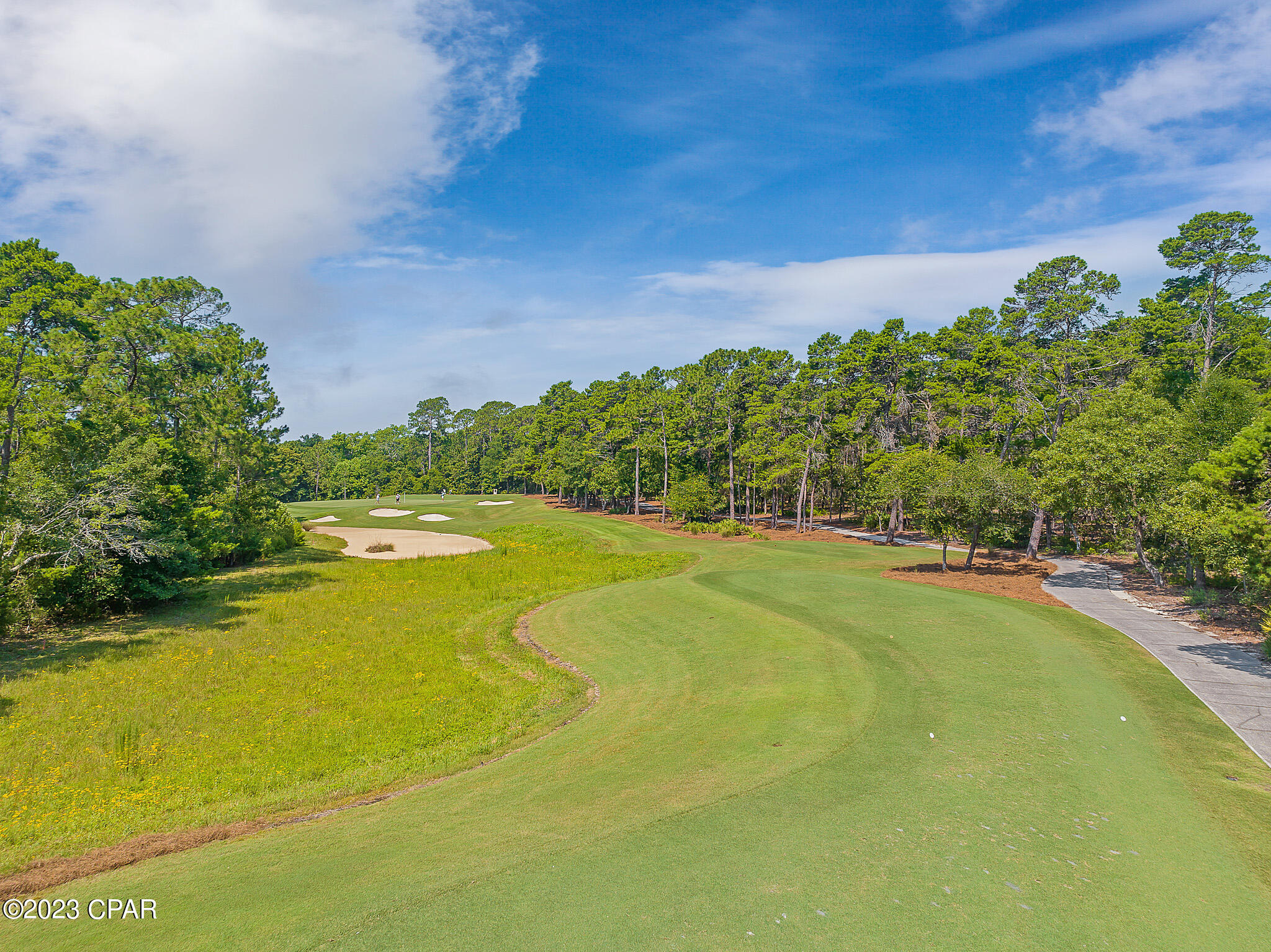 Wild Heron Phase X - Land