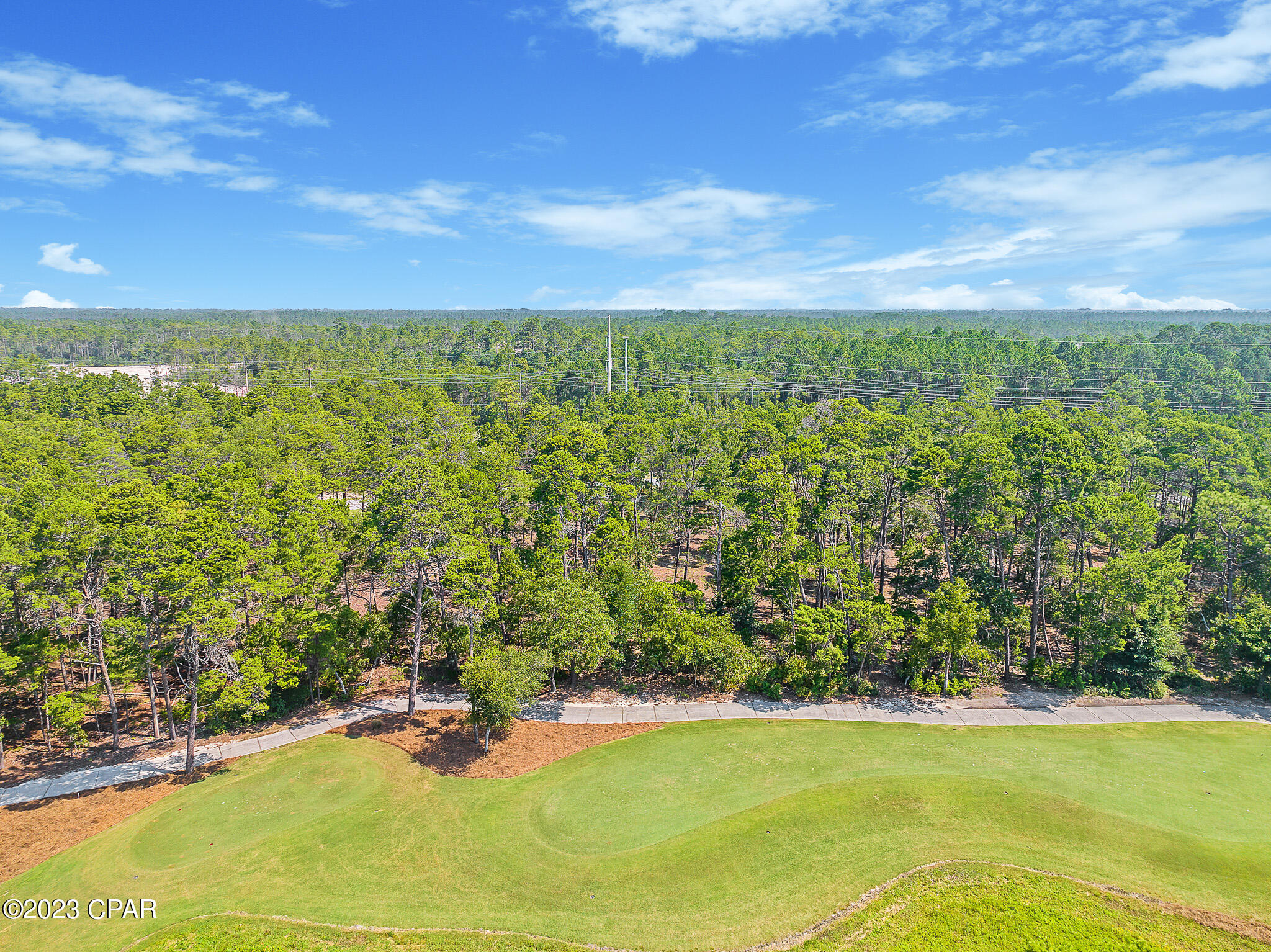 Wild Heron Phase X - Land