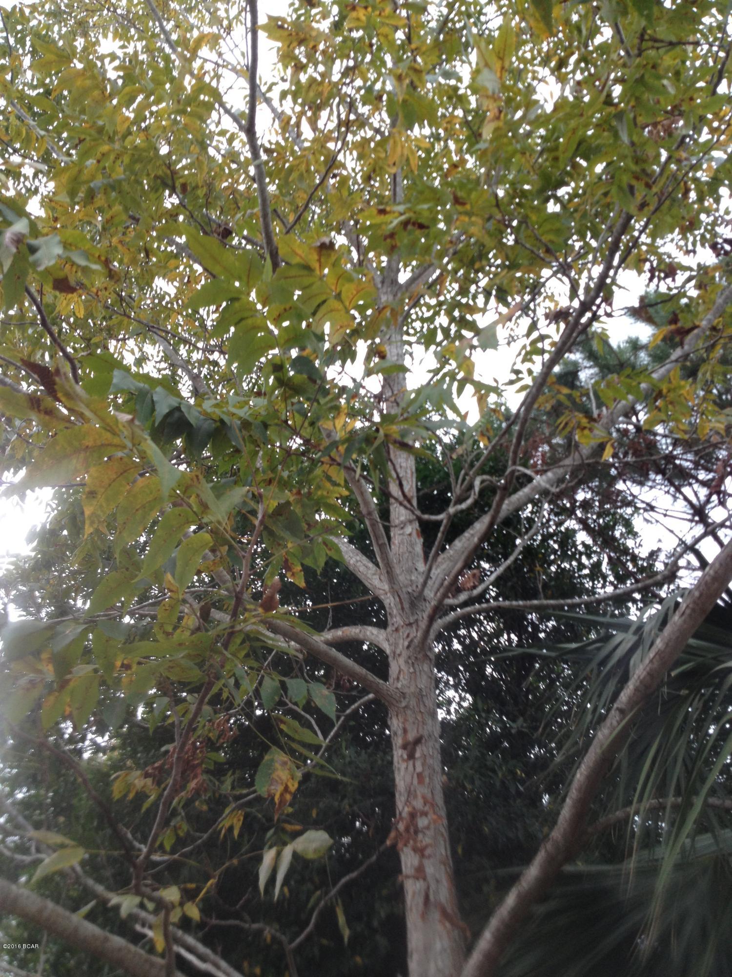 Laguna Beach 7th Add - Land