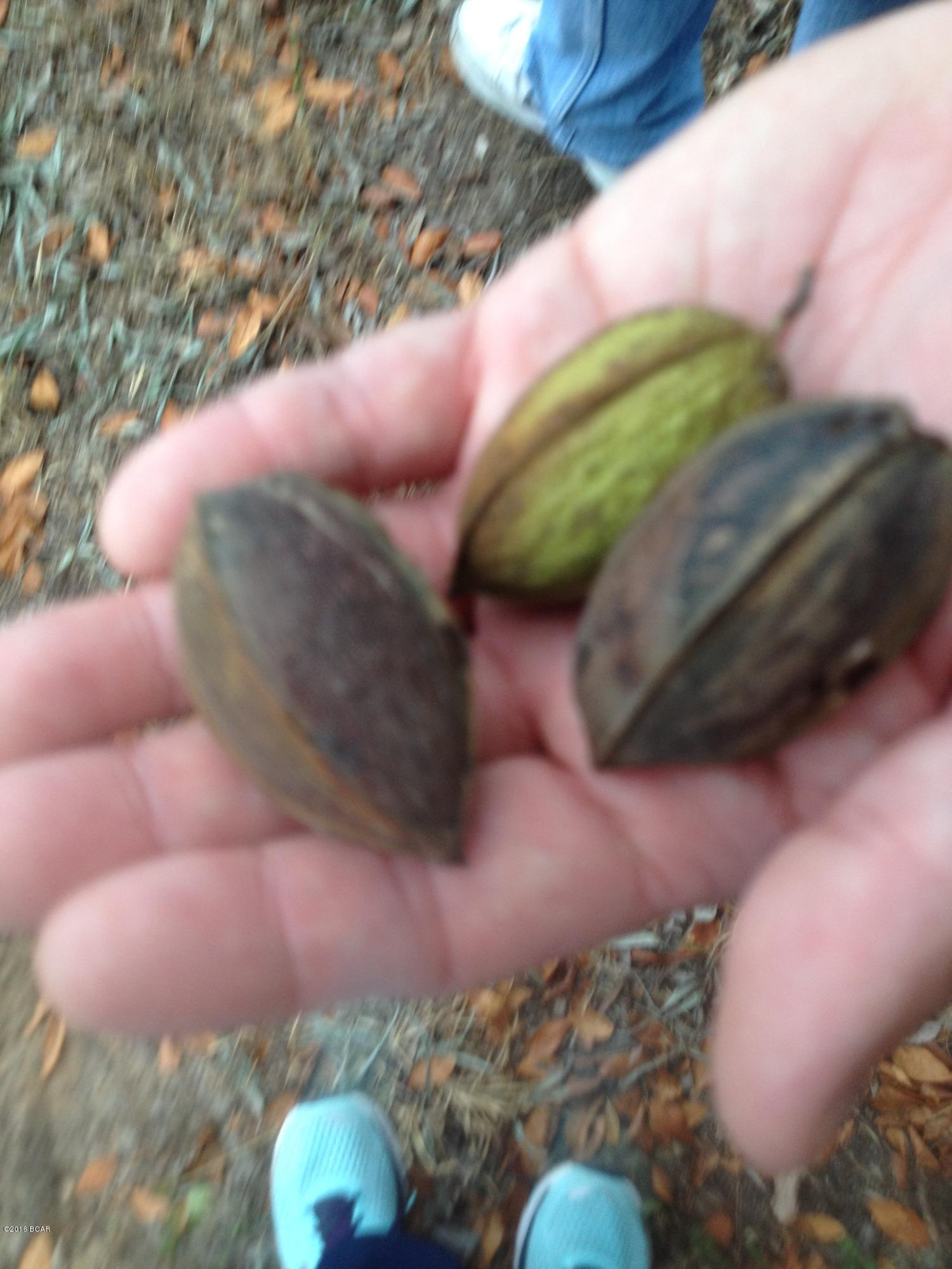 Laguna Beach 7th Add - Land