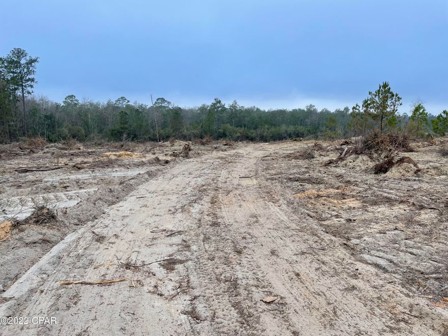 Great Location! 80 Ac MOL!Only a few minutes from I-10 and Chipley. Beautiful property,Secluded, small pond on property, sand and clay ridges and also has some low land. Just finished replanting 30 acres with long leaf Pines. Great Investment .