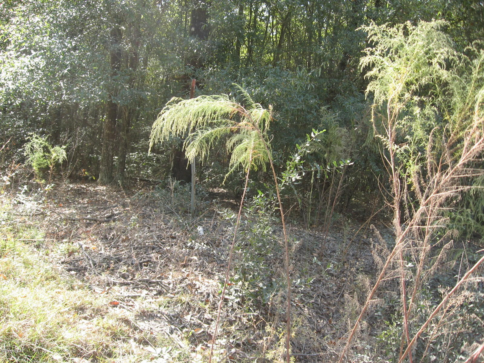 Whispering Pines Estates - Land