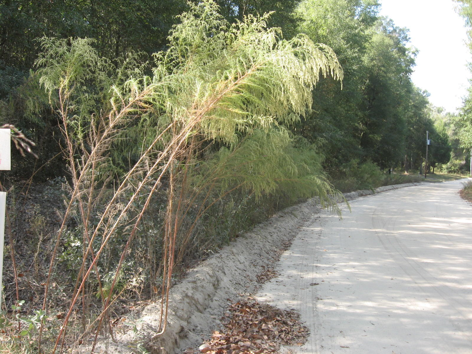 Whispering Pines Estates - Land