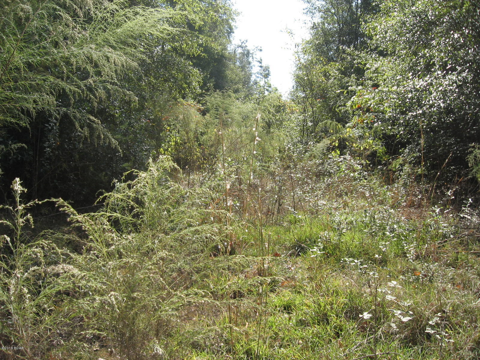 Whispering Pines Estates - Land