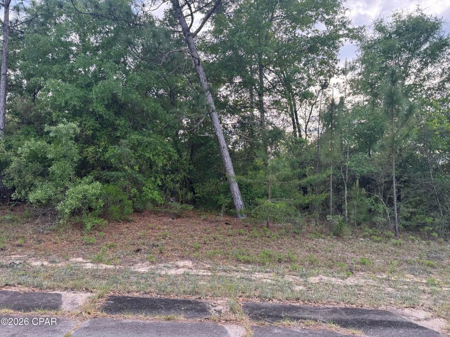 Looking for an oversized lot in south Washington County to build your new home or invest in your future, this could be it. Only 45 minutes to The Worlds Most Beautiful Beaches and  Northwest Florida Beaches International Airport. Several great lakes to fish and swim in. Nice 18 hole golf course so you can enjoy the beautiful Florida weather . Check it out and give a realtor a call to tell you more .