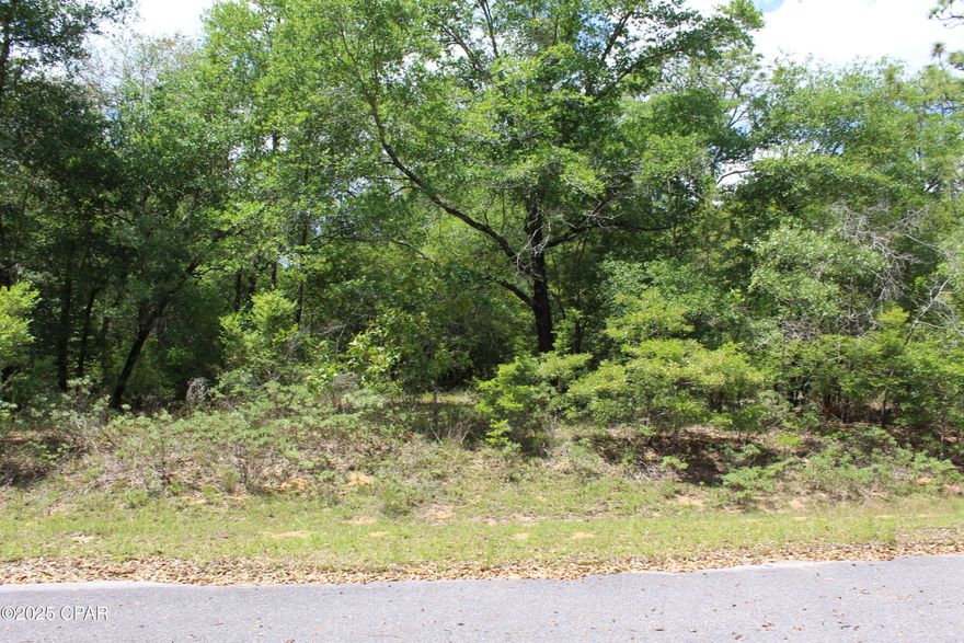 Discover the perfect blend of privacy, freedom, and convenience with this beautiful 1-acre wooded homesite located in a peaceful, well-kept area with paved road access. This property offers flexibility rarely found today -- no HOA, no build timeframe, and site-built homes only with a minimum of 1600 sq ft. (No mobile homes permitted.) Owner financing is available, making it even easier to secure your future homesite or investment.
Enjoy the quiet of nature while staying close to everything you need. You'll have easy access to nearby towns, schools, and essential services, making this an ideal choice for full-time living or a future getaway.
Outdoor lovers will appreciate being just minutes from Holmes Creek, known for its crystal-clear waters perfect for canoeing, kayaking, swimming, and exploring. Lucas Lake is also nearby, offering excellent opportunities for water skiing, boating, and fishing.
When you're ready for coastal fun, it's only a short drive to Panama City Beach, where you'll find endless activities, world-class beaches, shopping, dining, and entertainment.
Whether you plan to build now or hold for the future, this property delivers natural beauty, location convenience, and flexible ownership options -- a rare combination in Florida's Panhandle. Additional adjacent lots available on either side of this parcel.