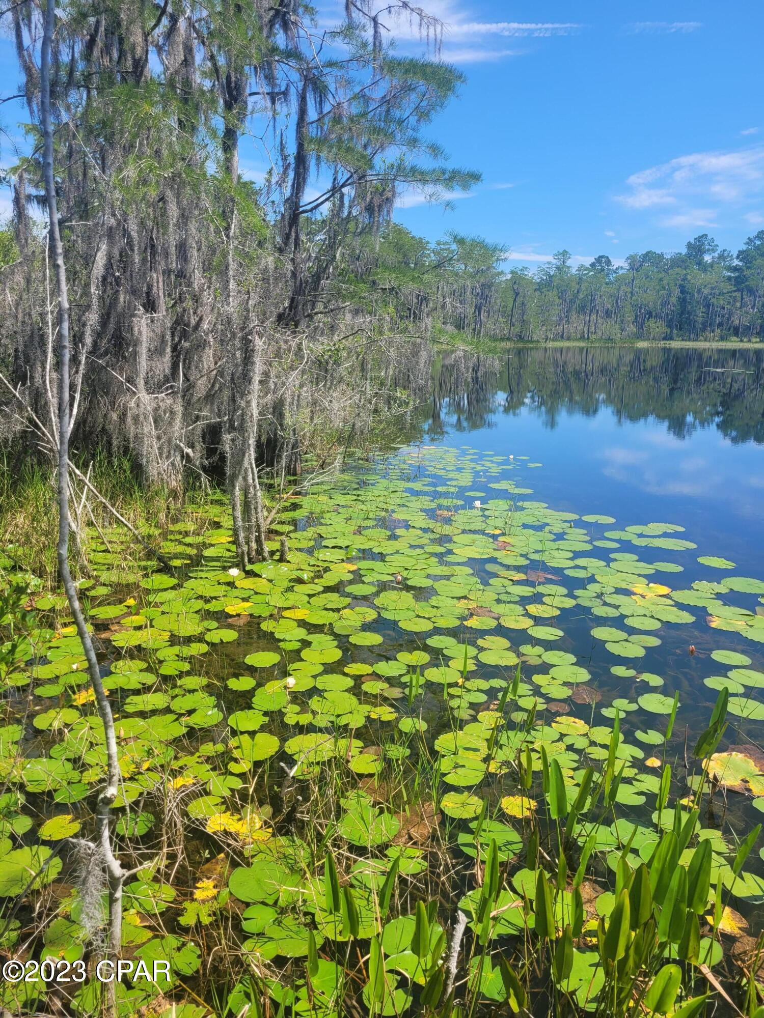 Paradise Lakes - Residential