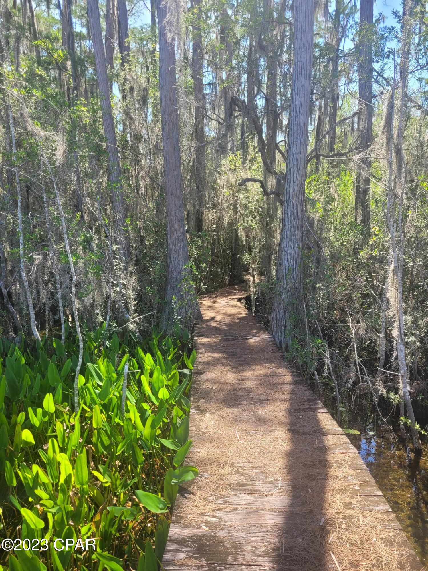 Paradise Lakes - Residential