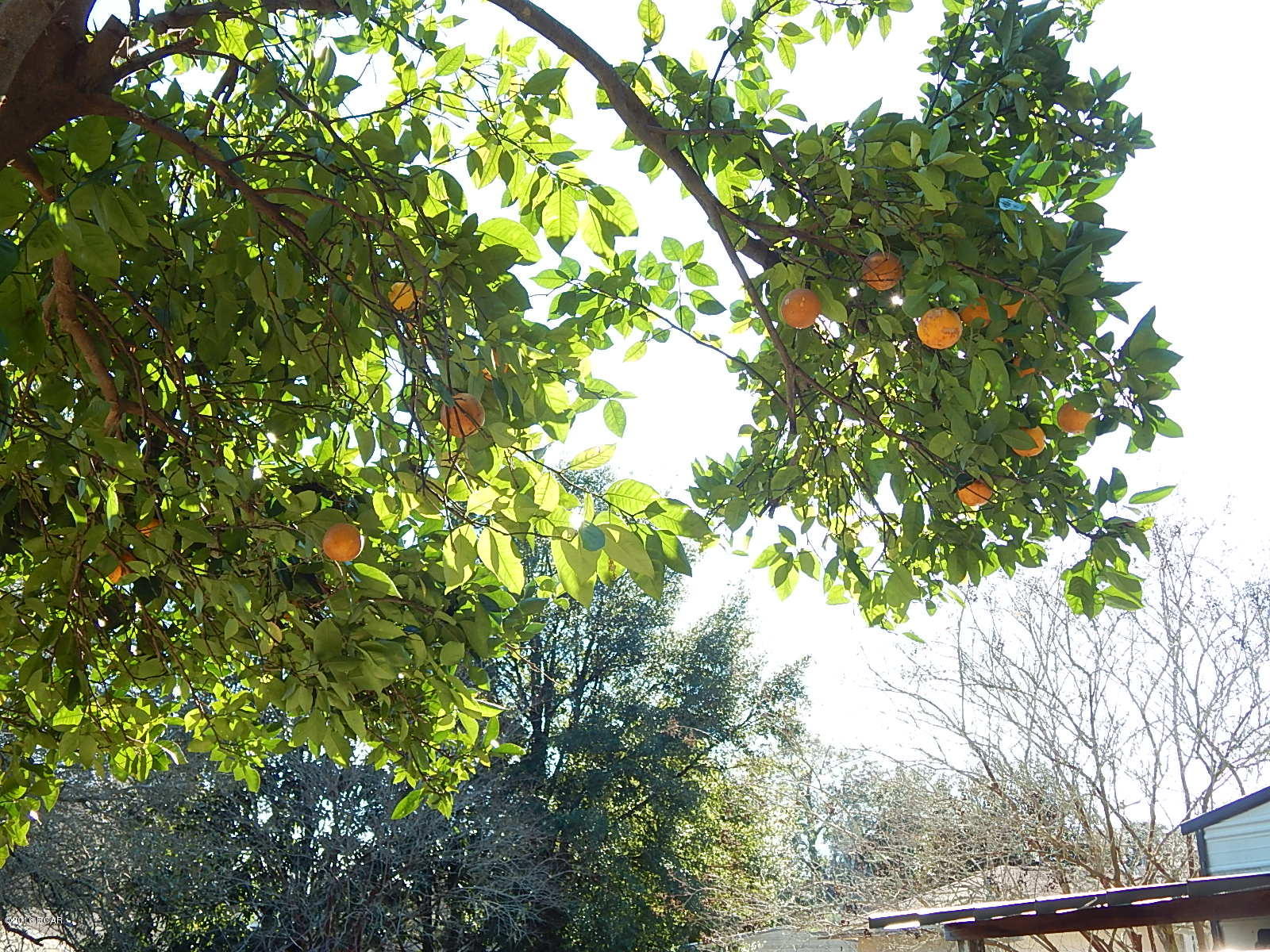 Callaway Forest U-2 - Residential