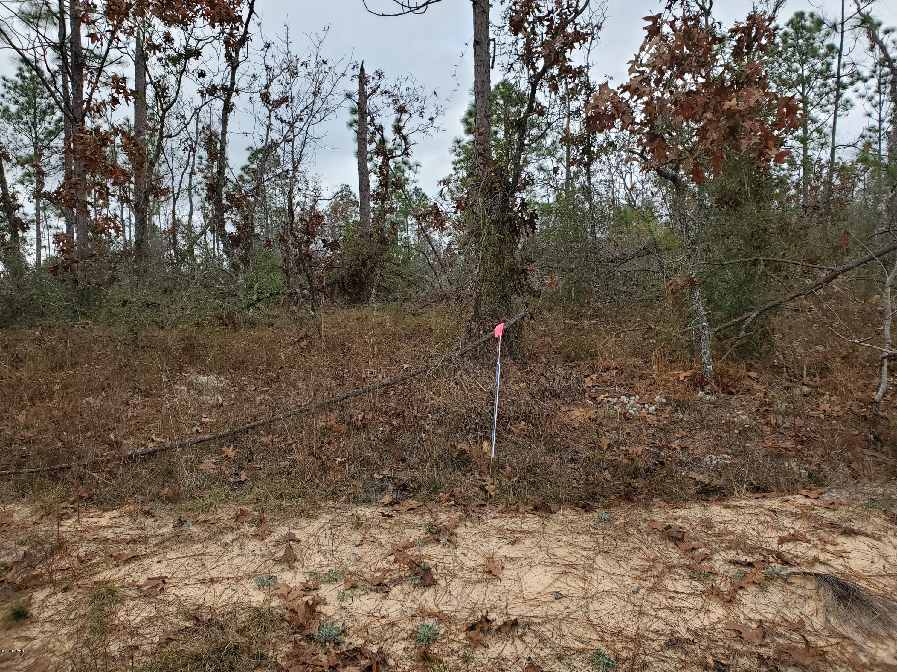 Compass Lake In The Hills - Land