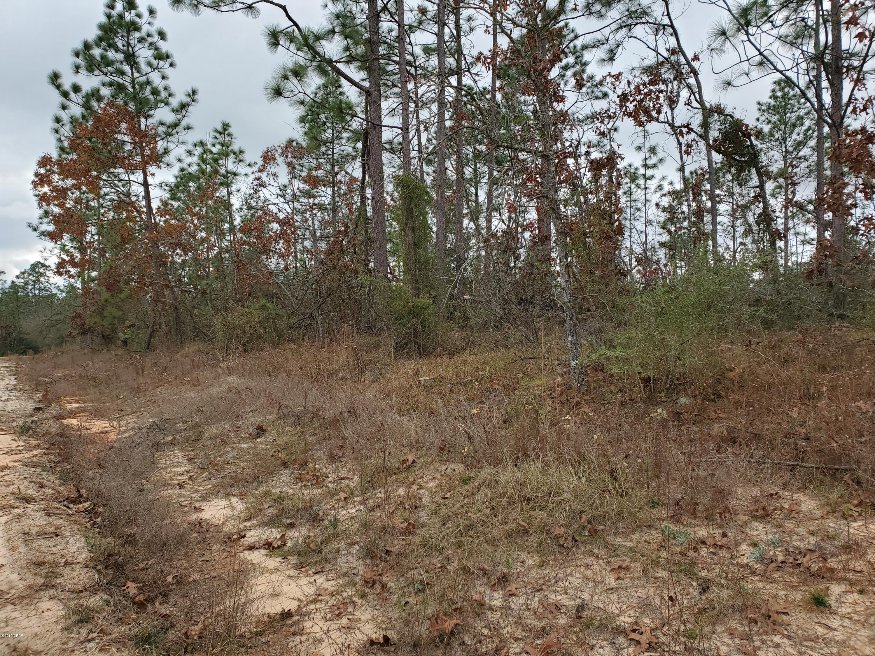 Compass Lake In The Hills - Land
