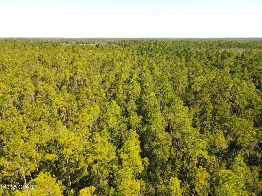 30.26 Acres - Hunting & Recreational Tract in Fountain, FL

This 30.26-acre property in Northwest Calhoun County offers the perfect setup for hunting, recreation, and future investment. Conveniently located just off State Road 231 in Fountain, FL, with a quick drive into Bay County and Panama City.

30.26 acres of wooded land in a prime recreational area

Blank canvas to design roads, trails, and hunting food plots as you wish

Nice stand of planted pines providing cover, habitat, and long-term timber value

Excellent hunting potential with deer and other wildlife on the property

Private rural setting while still close to Bay County and the Gulf Coast

Survey Available saving you time and money

If you've been searching for the right hunting and recreational tract with room to make it your own, this 30.26-acre property checks all the boxes.