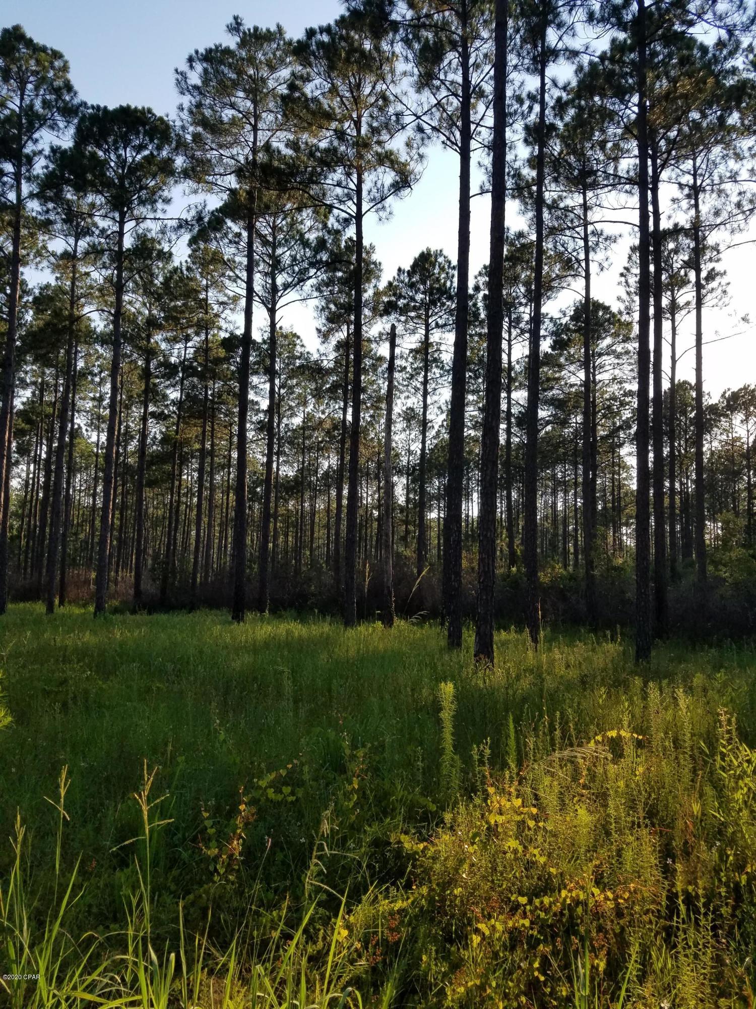 Rivercamps On Crooked Creek - Land