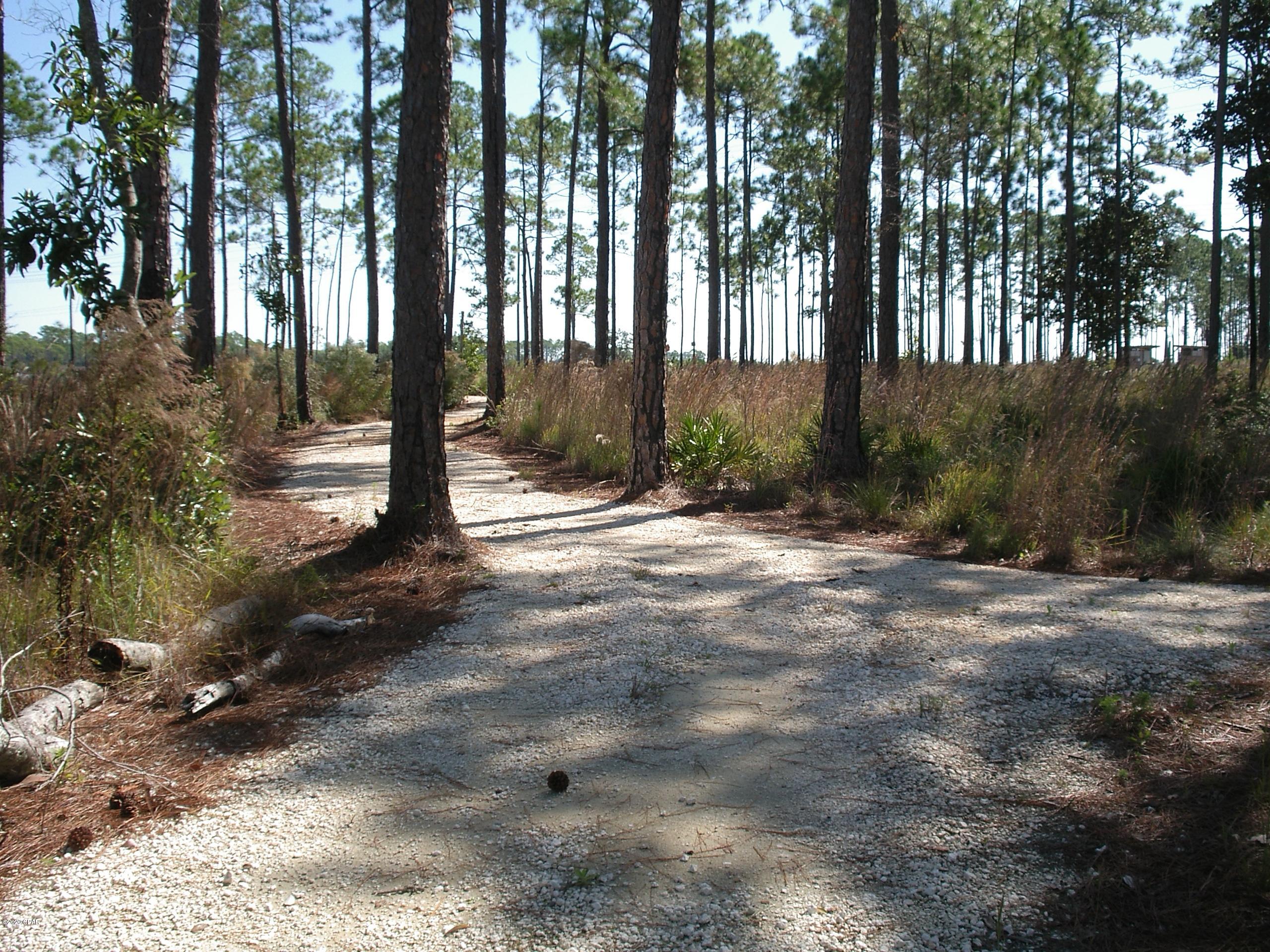 Rivercamps On Crooked Creek - Land
