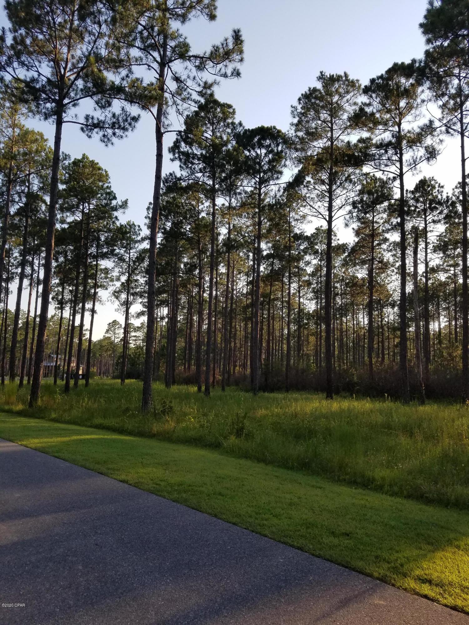 Rivercamps On Crooked Creek - Land