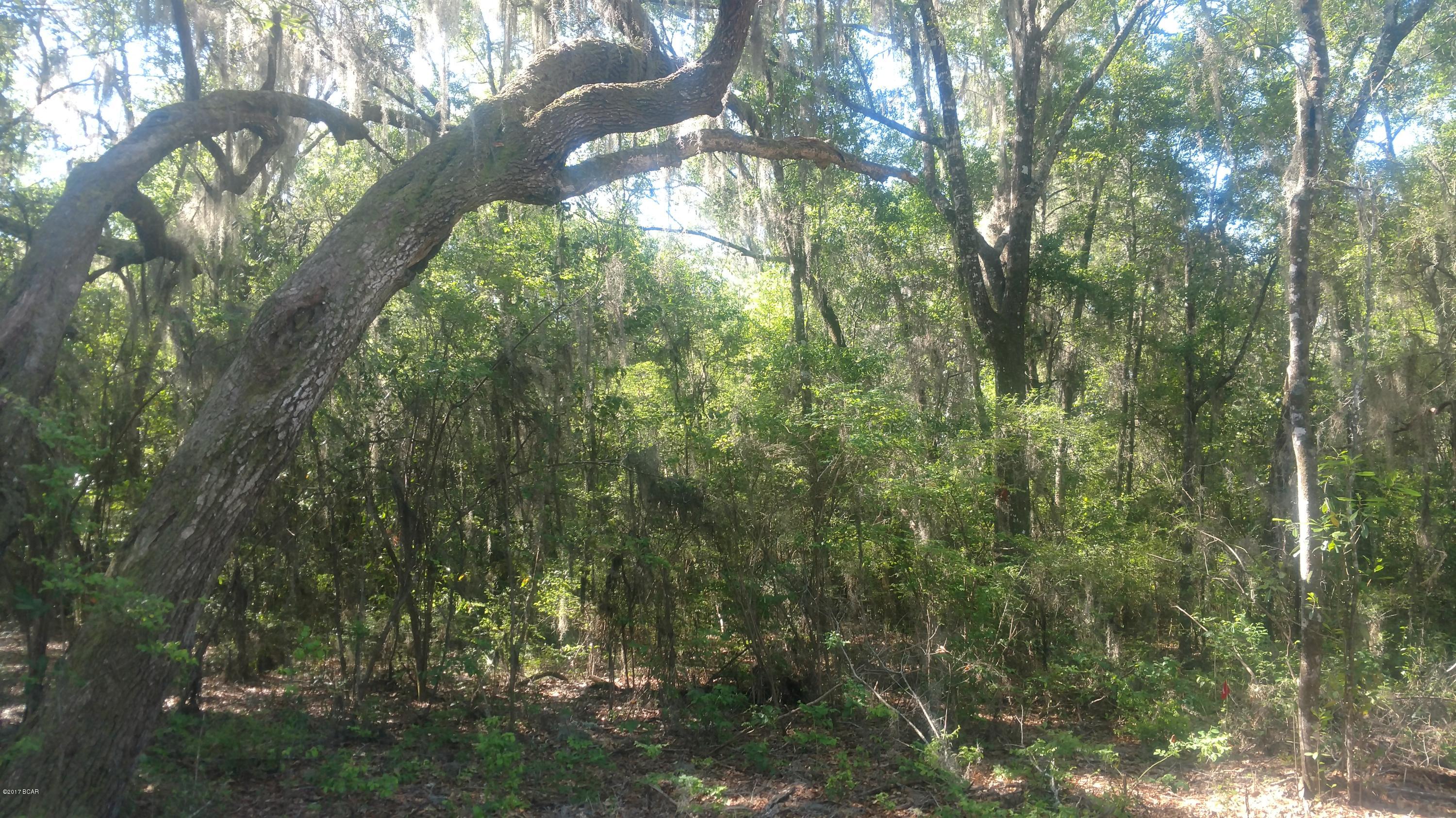 Cedar Creek At Deerpoint Lake - Land